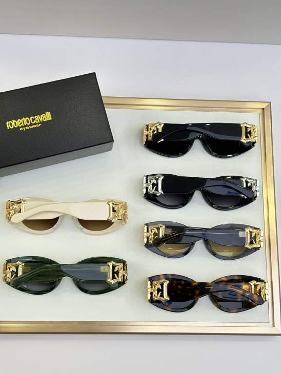 Picture of Roberto Cavalli Sunglasses _SKUfw75013231fw